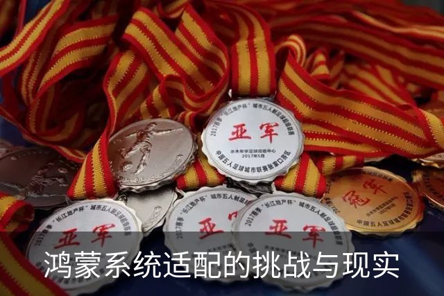 鸿蒙系统适配的挑战与现实