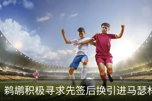 鹈鹕积极寻求先签后换引进马瑟林