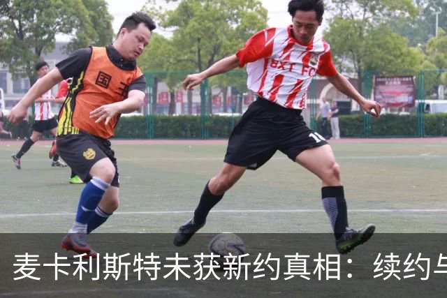 麦卡利斯特未获新约真相：续约与未来规划！